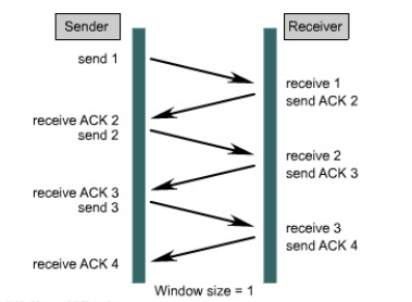 window size 1.png